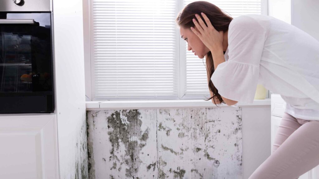 Schimmel op de muur: schilderen of eerst behandelen?