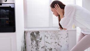 Schimmel op de muur: schilderen of eerst behandelen?